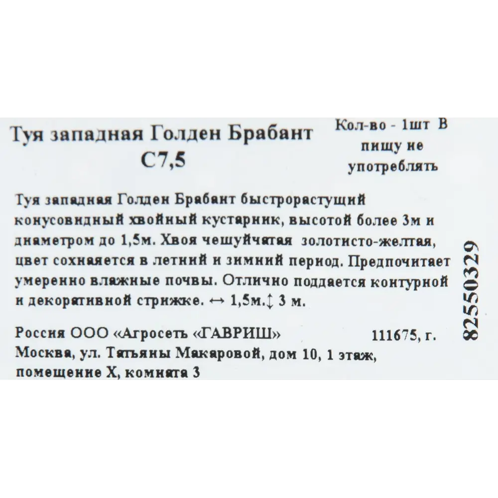 Туя западная «Голден Брабант» 22x50 см 82550329 STLM-2197952 ГАВРИШ  - Вид №1