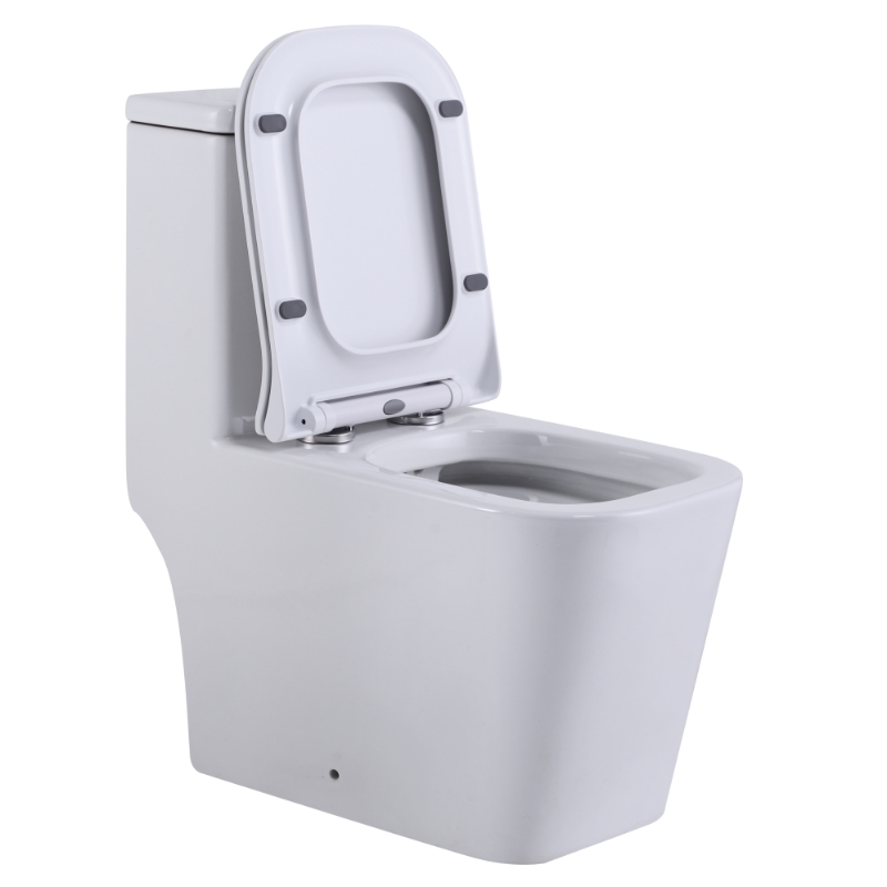 Унитазы-компакт SL-5024 SANTILINE  - Вид №2