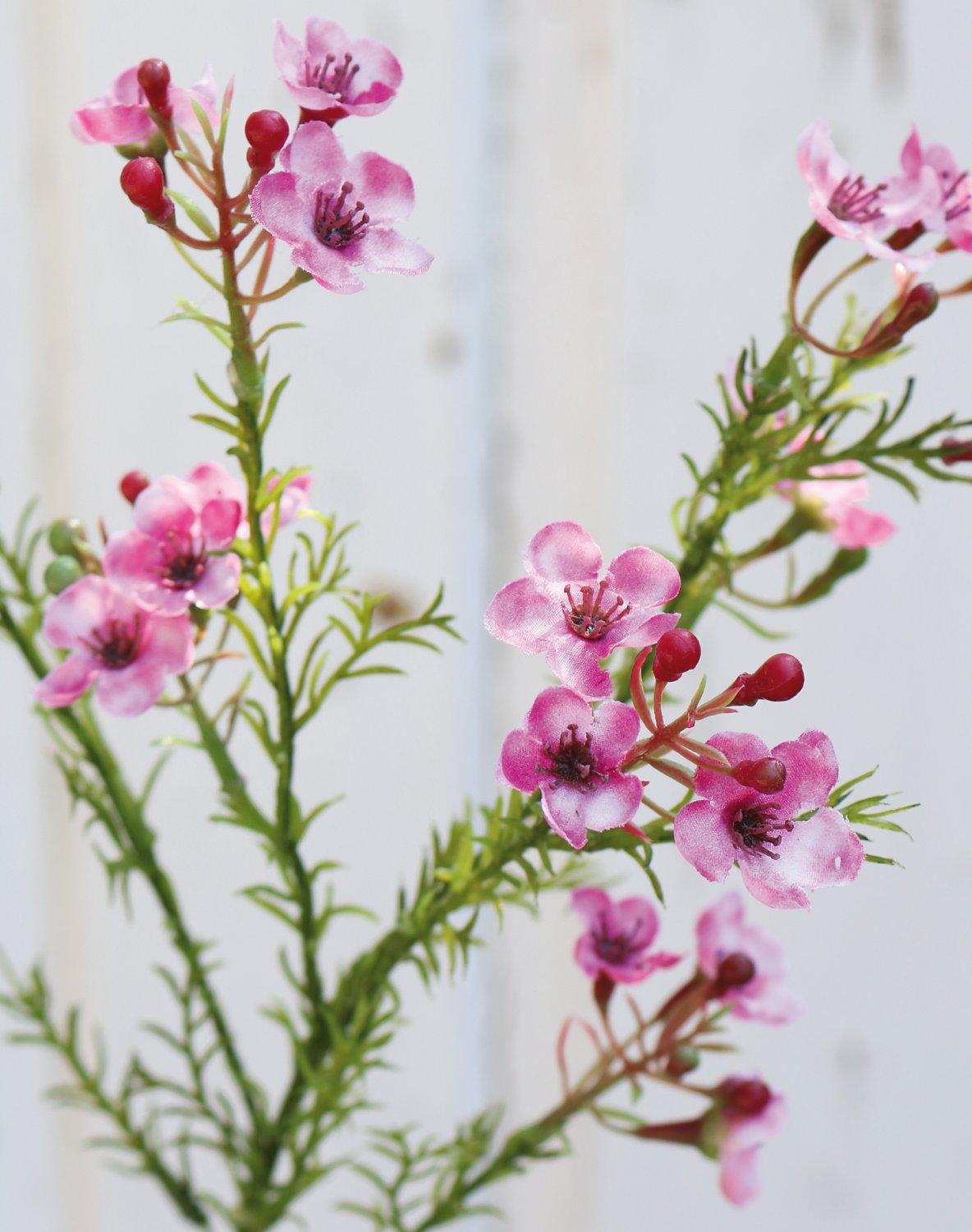 2021 515 a3 Растение из искусственного воска, 65 см, розовое H-andreas  - Вид №3