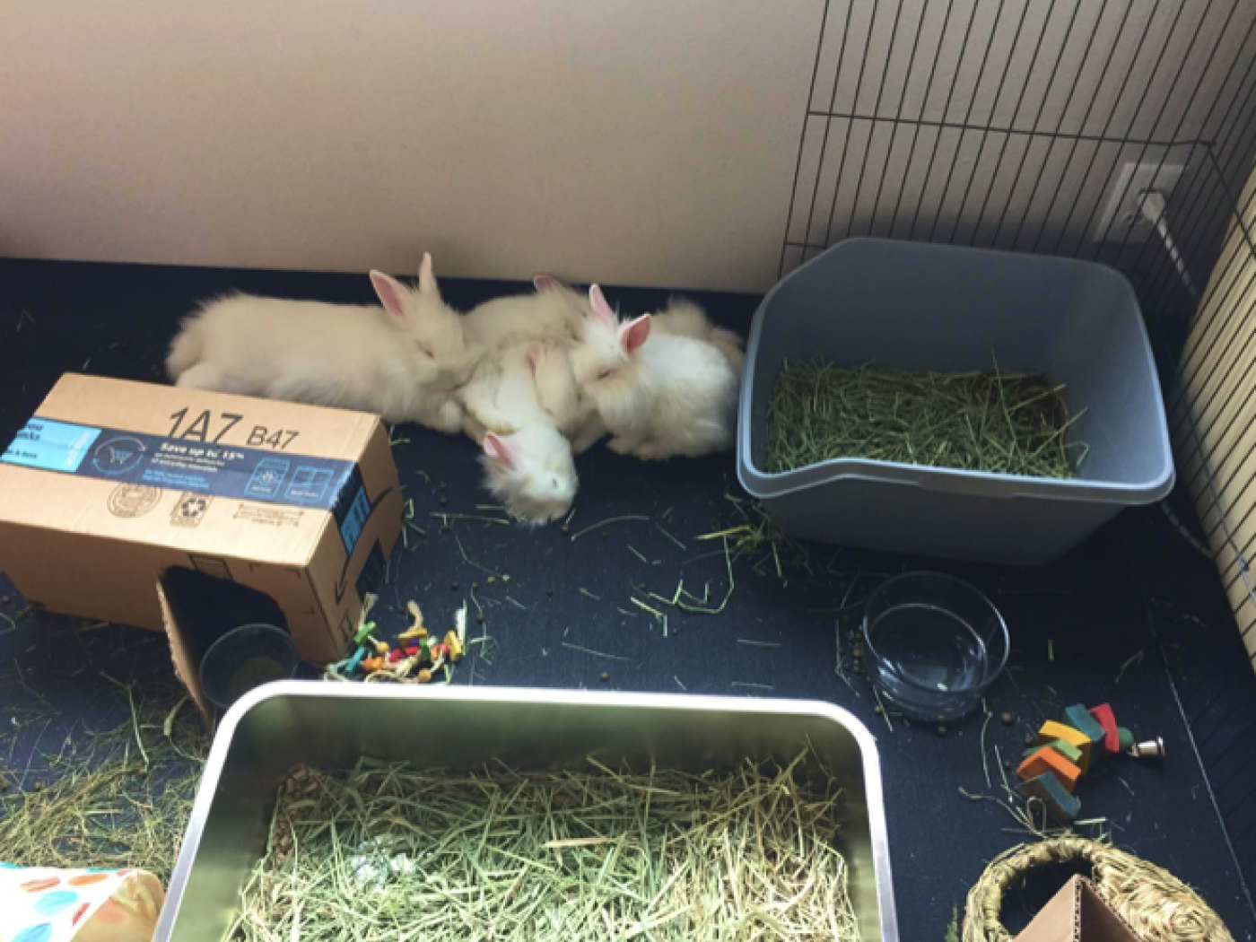 20.12.4.ABD.Bg Лежанка для животных в вольере Alegria big dog  - Вид №6