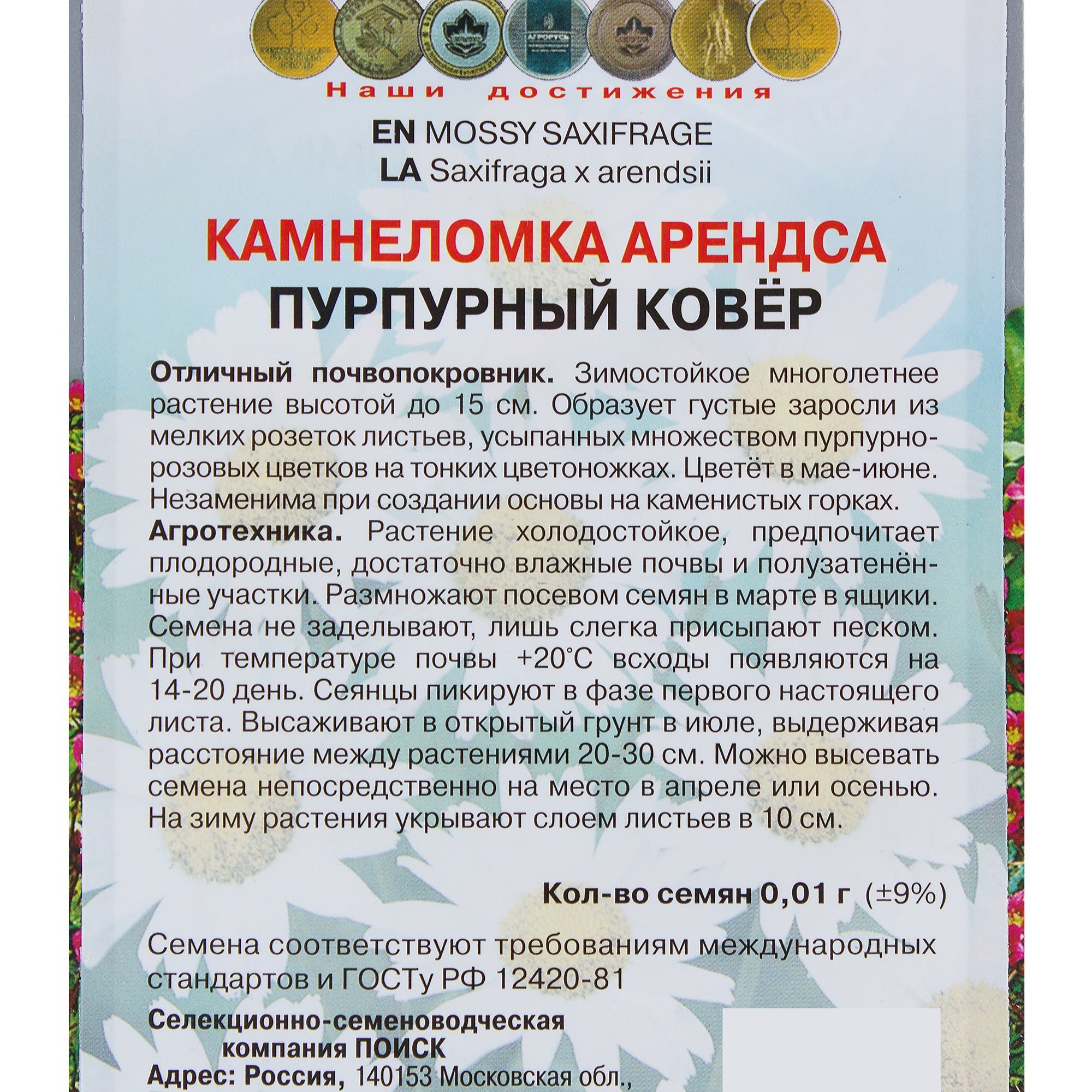 17229320 Камнеломка «Арендса Пурпурный ковёр» Santreyd  - Вид №2