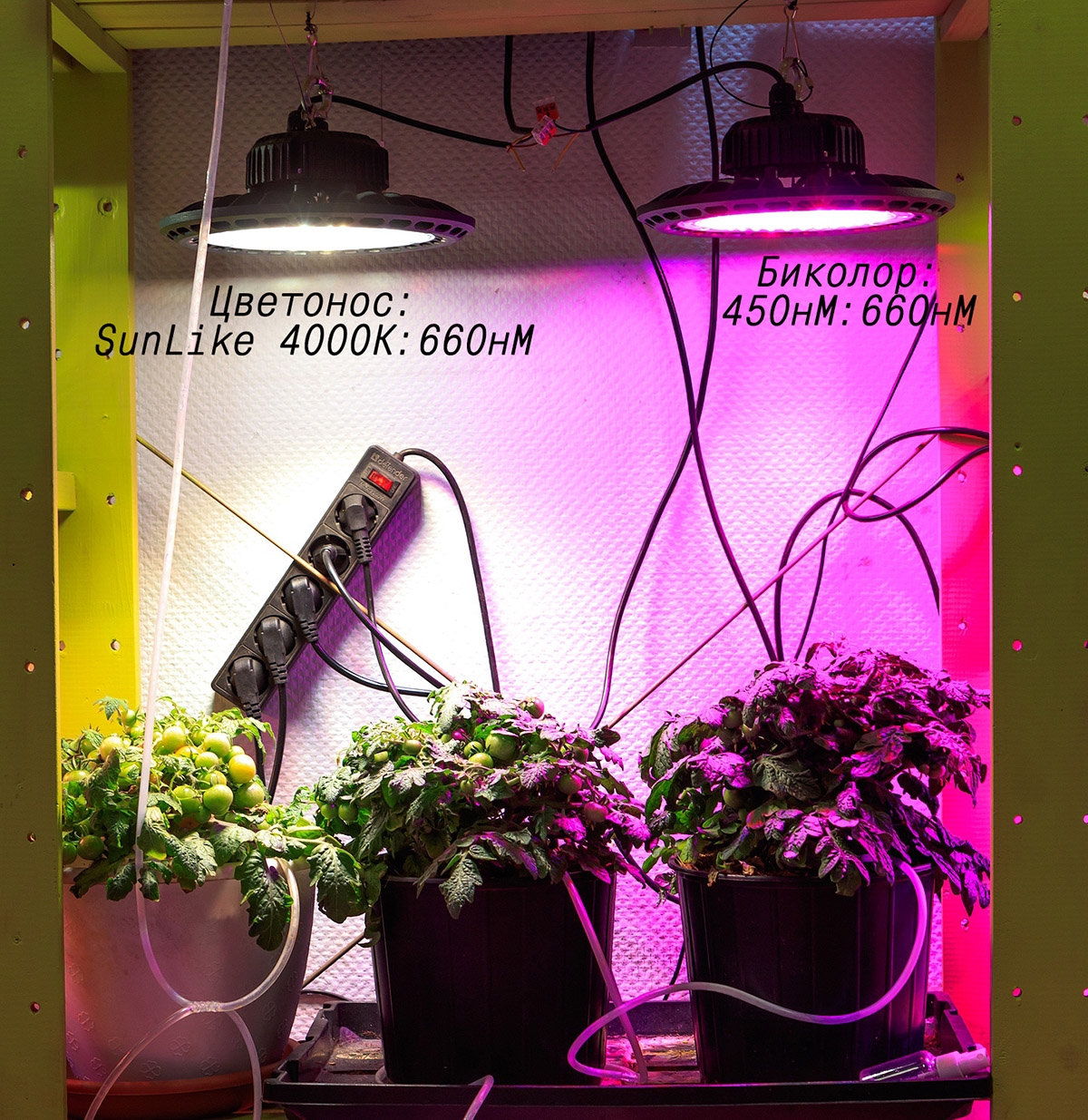 1311 Фитолампа UFO SMD 50 Watt LAB.Space  - Вид №16