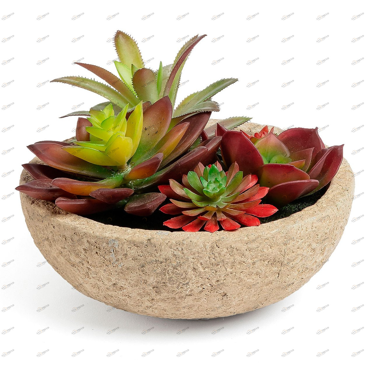 Цветы искусственные разноцветные в горшке "Суккуленты" от La Forma LA FORMA  342240 Натуральный 