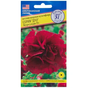 Петуния махровая мультифлора «Дуо» F1, смесь бургунди 81931618 STLM-2042125