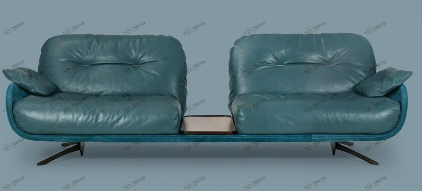 Borzalino 2-х местный кожаный диван Ayton sun-id-1396794