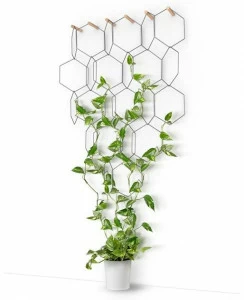 Compagnie Вертикальная зеленая решетка из металла