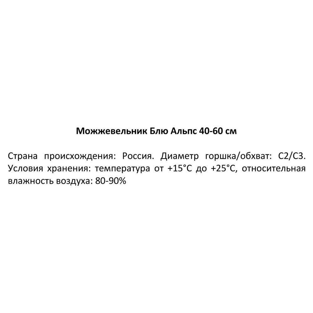 Можжевельник китайский Блю Альпс ø19 см h40-60 см 85088159 STLM-2103275 Santreyd  - Вид №2