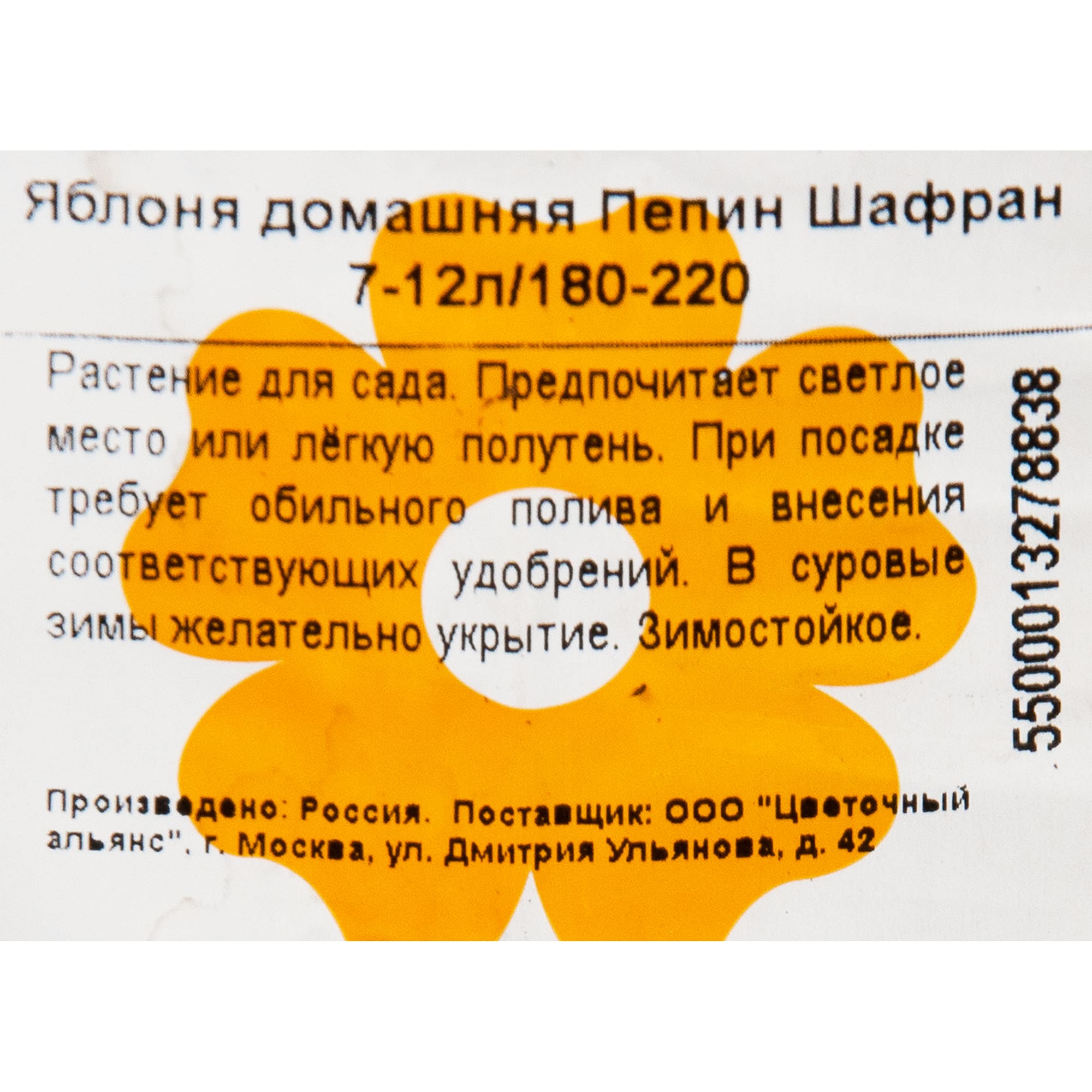 82601729 Яблоня «Пепин шафран» 7-12 л высота 180-220 см Santreyd  - Вид №1
