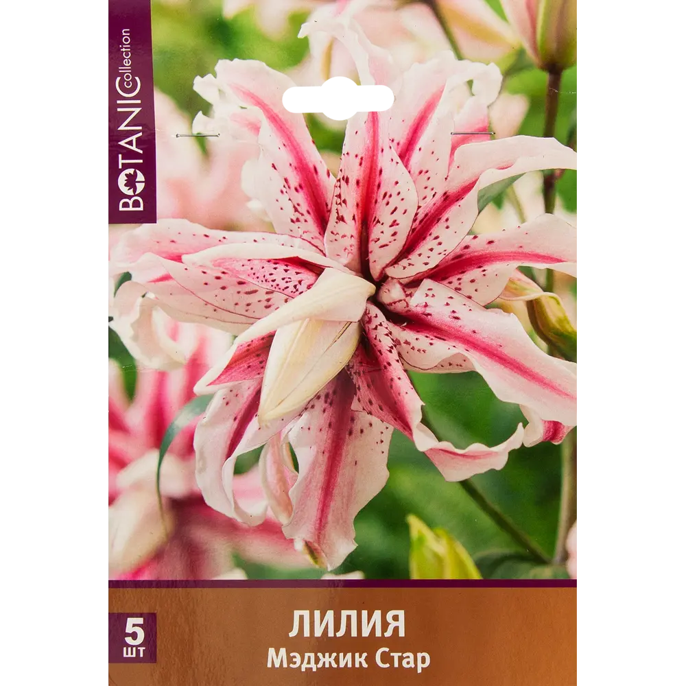 Лилия махровая Мэджик Стар 5 шт. 83628523 STLM-2021569 BOTANIC COLLECTION  - Вид №1