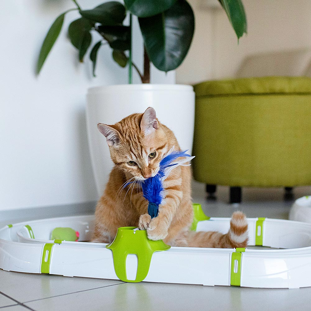 ПР0049940 Интерактивная игрушка для кошек Turbine FERPLAST  - Вид №3