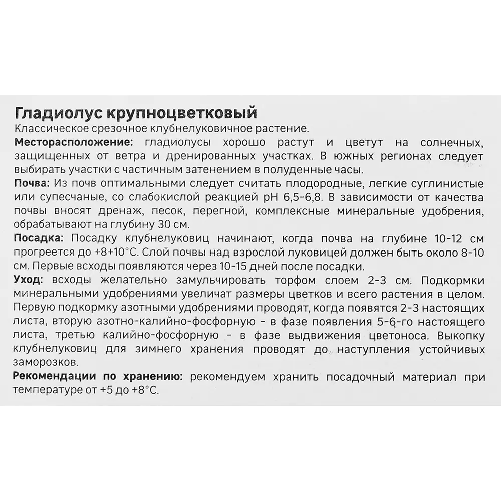 Гладиолус Сольфарино, 3 шт. 89349347 STLM-2194908 GEOLIA  - Вид №1