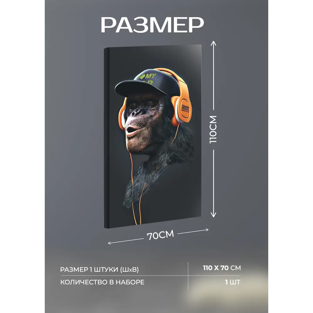 Картина на холсте Меломан 70x110 см FBRUSH STLM-2076432 - Вид №3