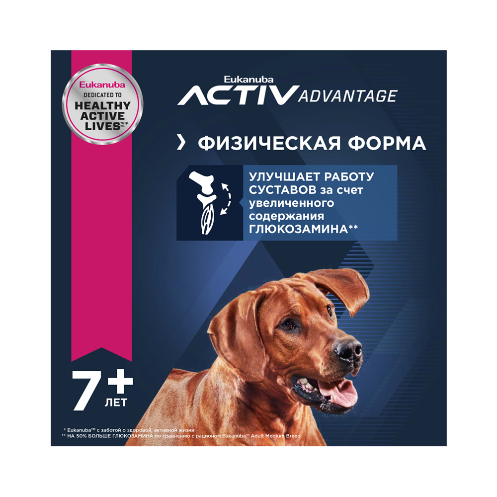 ПР0033059 Корм для собак для крупных пород старше 6 лет сух. 4кг Eukanuba  - Вид №7