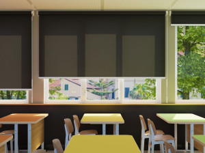 Затемняющие рулонные шторы