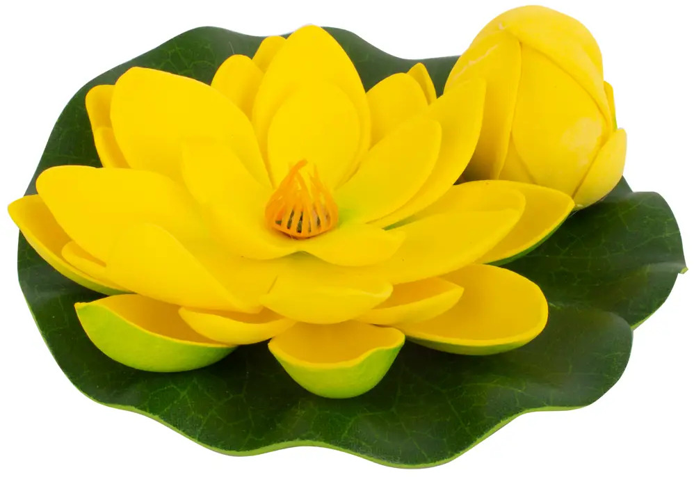 ECOTEC Лотос для пруда - декоративный цветок для водоема 86870411