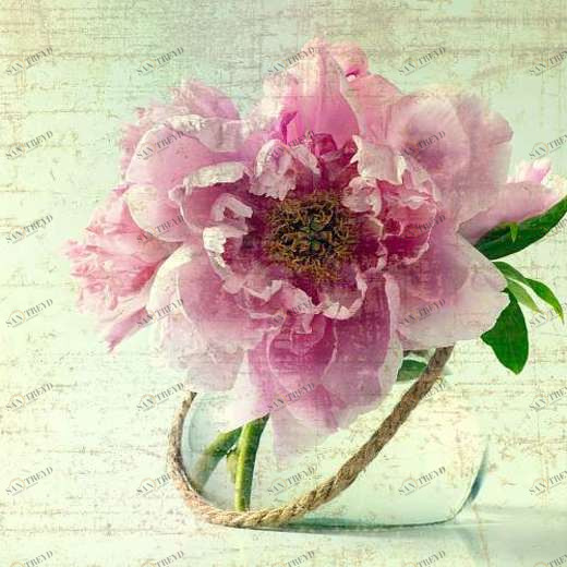 L-066 Фотообои DIVINO L&P 3х2.7 м L066