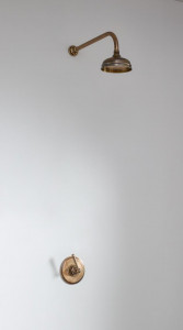 Скрытая душевая кабина Bill - Тип A - розетка 6 дюймов Bill & Ben The water monopoly