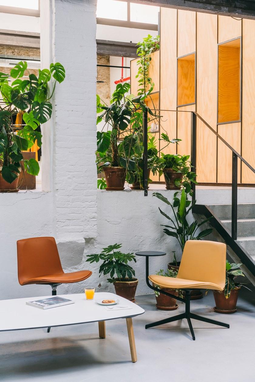 ENEA Кресло с обивкой из ткани с 4 спицами Lottus lounge sun-id-1429077 - Вид №6