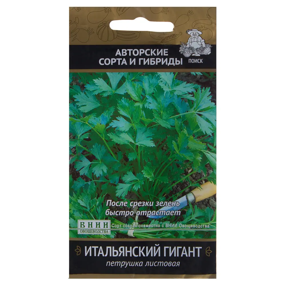 Петрушка Итальянский гигант от ПОИСК - ароматная зелень для кулинарии 17235009 STLM-0007760