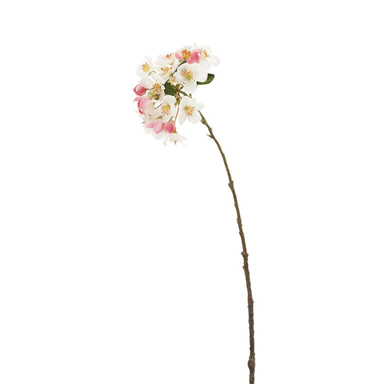 210311-15 ABHIKA СПРЕЙ ЯБЛОЧНОГО ЦВЕТА X1 WHITE/PINK 