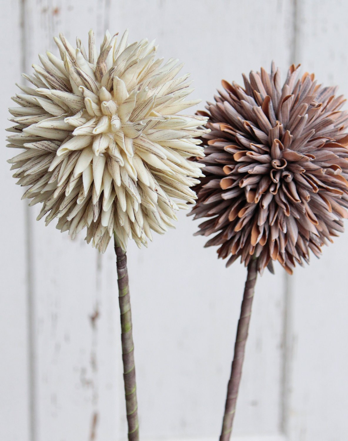 7890 616 a3 Искусственный мягкий цветок 'allium', 80 см, натуральный H-andreas 