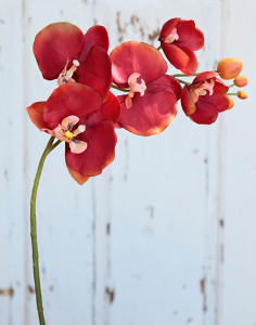 2368 344 a2 Искусственная орхидея Phalaenopsis, 75 см, темно-оранжевая H-andreas