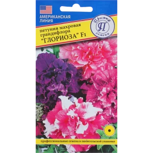 Петуния махровая «Глориоза F1» смесь окрасок 13895552 STLM-2211662