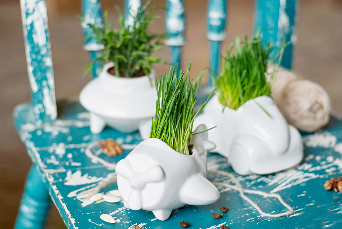 Набор для выращивания Eco Самолет ЭКОЧЕЛОВЕКИ 7001 - Вид №1