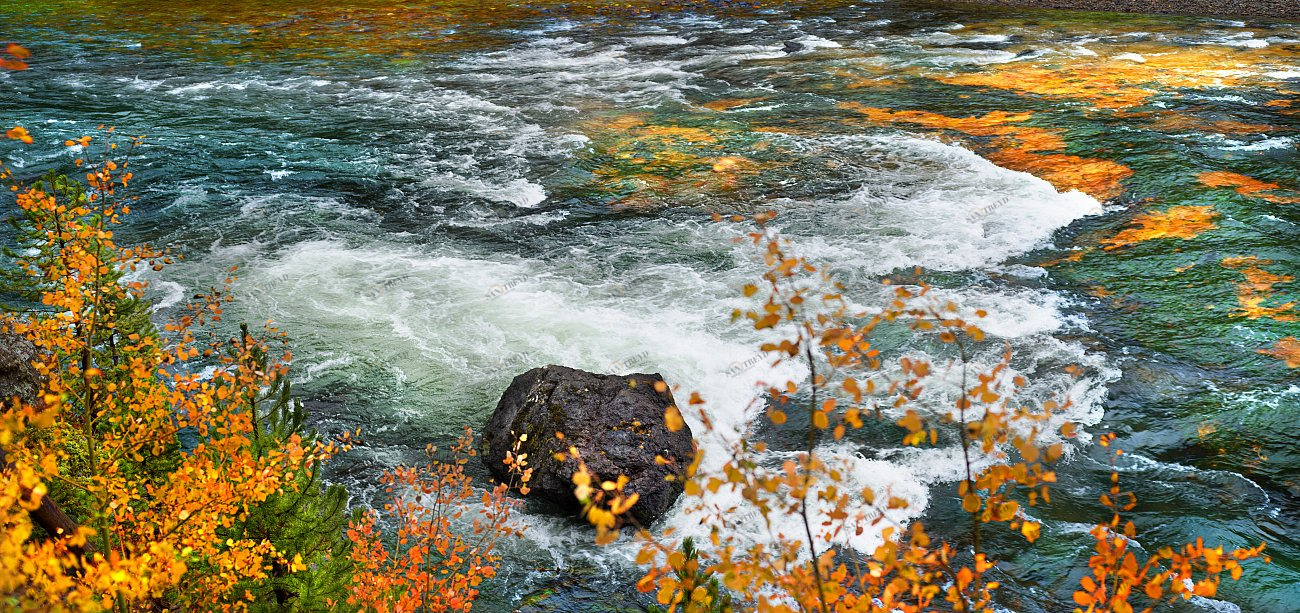 Фотокартина 30х80 см "Охра" PANKOVSKY STUDIO ПЛАСТИФИКАЦИЯ 015881 Белый;желтый;серый 