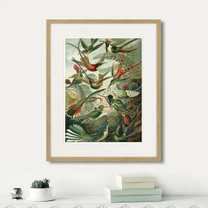 Картина в раме 52х42 см Art forms of nature №1, 1897г. КАРТИНЫ В КВАРТИРУ  264455 Бежевый;зеленый;разноцветный